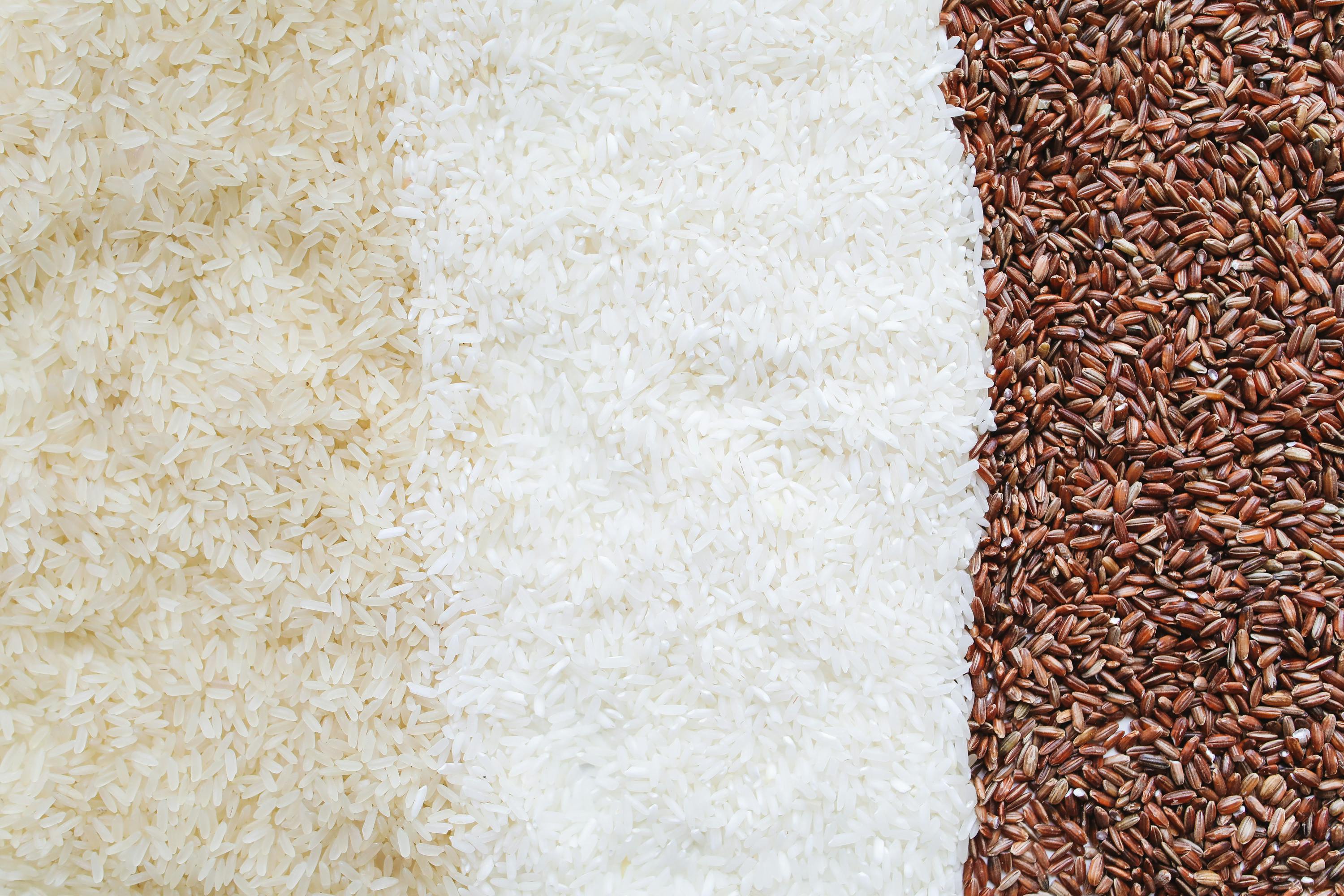 Rice fields showcasing quality